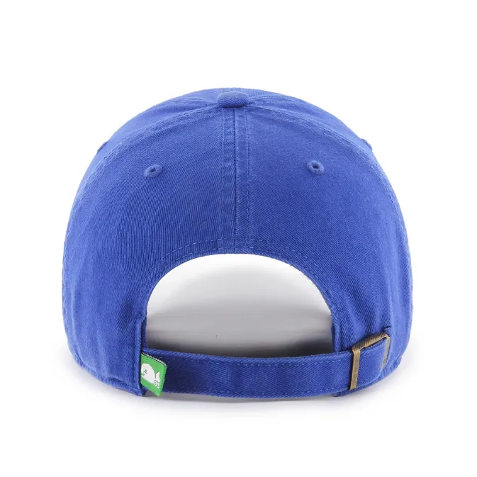 Hartford Whalers Clean Up Cap